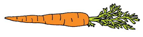 Carrot